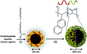 Graphical abstract: Biodegradable nano carbon-based smart filters for efficient remediation of pharmaceutical contaminants