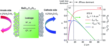 Graphical abstract: Energy efficiency of ionic transport through proton conducting ceramic electrolytes for energy conversion applications