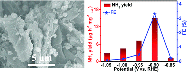 Graphical abstract: TiO2 nanoparticles–reduced graphene oxide hybrid: an efficient and durable electrocatalyst toward artificial N2 fixation to NH3 under ambient conditions