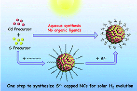 Graphical abstract: Direct synthesis of sulfide capped CdS and CdS/ZnS colloidal nanocrystals for efficient hydrogen evolution under visible light irradiation
