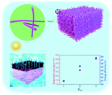 Graphical abstract: Robust aerogels based on conjugated microporous polymer nanotubes with exceptional mechanical strength for efficient solar steam generation