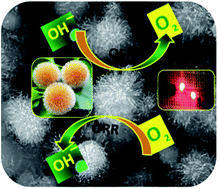 Graphical abstract: Anthocephalus cadamba shaped FeNi encapsulated carbon nanostructures for metal–air batteries as a resilient bifunctional oxygen electrocatalyst