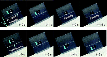 Graphical abstract: A stable solid slippery surface with thermally assisted self-healing ability