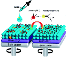 Graphical abstract: Polyelectrolyte interlayers with a broad processing window for high efficiency inverted organic solar cells towards mass production