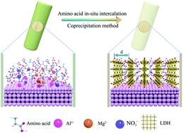 Graphical abstract: Tuning molecular sieving channels of layered double hydroxides membrane with direct intercalation of amino acids
