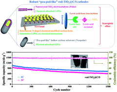 Graphical abstract: “Pea-pod-like” nitrogen-doped hollow porous carbon cathode hosts decorated with polar titanium dioxide nanocrystals as efficient polysulfide reservoirs for advanced lithium–sulfur batteries