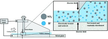 Graphical abstract: Investigation of the effects of electric fields on the nanostructure of Nafion and its proton conductivity