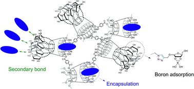 Graphical abstract: Synthesis of glycopolymer nanosponges with enhanced adsorption performances for boron removal and water treatment