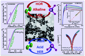 Graphical abstract: Rhodium metal–rhodium oxide (Rh–Rh2O3) nanostructures with Pt-like or better activity towards hydrogen evolution and oxidation reactions (HER, HOR) in acid and base: correlating its HOR/HER activity with hydrogen binding energy and oxophilicity of the catalyst