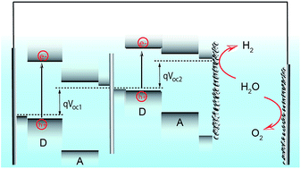 Graphical abstract: A bright outlook on organic photoelectrochemical cells for water splitting