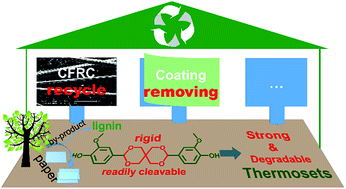 Graphical abstract: Readily recyclable, high-performance thermosetting materials based on a lignin-derived spiro diacetal trigger