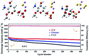 Graphical abstract: Aqueous-processable polymer binder with strong mechanical and polysulfide-trapping properties for high performance of lithium–sulfur batteries