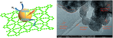 Graphical abstract: Constructing a novel TiO2/γ-graphyne heterojunction for enhanced photocatalytic hydrogen evolution