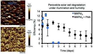 Graphical abstract: Structure and chemical stability in perovskite–polymer hybrid photovoltaic materials