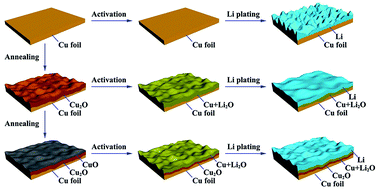 Graphical abstract: A facile annealing strategy for achieving in situ controllable Cu2O nanoparticle decorated copper foil as a current collector for stable lithium metal anodes