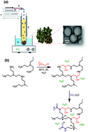 Graphical abstract: Carbon capture with polyethylenimine hydrogel beads (PEI HBs)