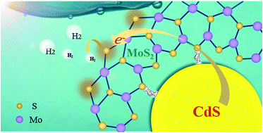 Graphical abstract: Self-assembly optimization of cadmium/molybdenum sulfide hybrids by cation coordination competition toward extraordinarily efficient photocatalytic hydrogen evolution