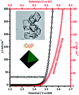 Graphical abstract: Hollow cobalt phosphide octahedral pre-catalysts with exceptionally high intrinsic catalytic activity for electro-oxidation of water and methanol