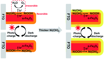 Graphical abstract: Direct storage of holes in ultrathin Ni(OH)2 on Fe2O3 photoelectrodes for integrated solar charging battery-type supercapacitors