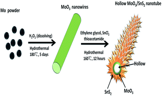 Graphical abstract: Formation of hollow MoO3/SnS2 heterostructured nanotubes for efficient light-driven hydrogen peroxide production