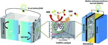 Graphical abstract: Cobalt and nitrogen co-doped hierarchically porous carbon nanostructure: a bifunctional electrocatalyst for oxygen reduction and evolution reactions