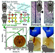 Graphical abstract: Novel sea cucumber-inspired material based on stiff, strong yet tough elastomer with unique self-healing and recyclable functionalities