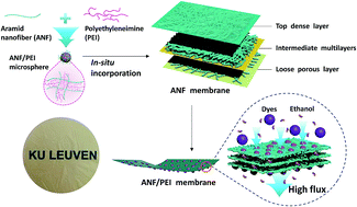 Graphical abstract: A high flux organic solvent nanofiltration membrane from Kevlar aramid nanofibers with in situ incorporation of microspheres