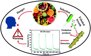 Graphical abstract: Cr doped WO3 nanofibers enriched with surface oxygen vacancies for highly sensitive detection of the 3-hydroxy-2-butanone biomarker