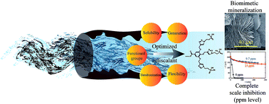 Graphical abstract: Rational design of molecularly engineered biomimetic threshold scale inhibitors