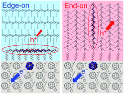 Graphical abstract: Effects of end-on oriented polymer chains at the donor/acceptor interface in organic solar cells