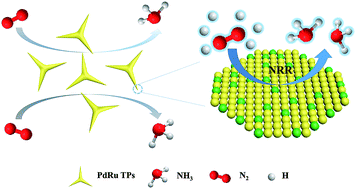 Graphical abstract: One-pot synthesis of bi-metallic PdRu tripods as an efficient catalyst for electrocatalytic nitrogen reduction to ammonia