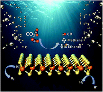 Graphical abstract: Two-dimensional materials as catalysts for solar fuels: hydrogen evolution reaction and CO2 reduction