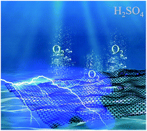 Graphical abstract: Coupling pentlandite nanoparticles and dual-doped carbon networks to yield efficient and stable electrocatalysts for acid water oxidation