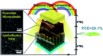 Graphical abstract: A 3D hybrid nanowire/microcuboid optoelectronic electrode for maximised light harvesting in perovskite solar cells