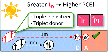 Graphical abstract: Triplet excitons: improving exciton diffusion length for enhanced organic photovoltaics