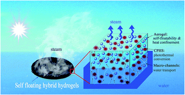 Graphical abstract: Self-floating hybrid hydrogels assembled with conducting polymer hollow spheres and silica aerogel microparticles for solar steam generation