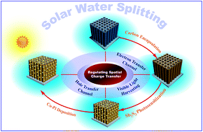 Graphical abstract: Regulating spatial charge transfer over intrinsically ultrathin-carbon-encapsulated photoanodes toward solar water splitting