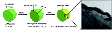 Graphical abstract: Fundamental studies of carbon capture using CaO-based materials