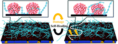 Graphical abstract: Hyperbranched poly(ionic liquid) functionalized poly(ether sulfone) membranes as healable antifouling coatings for osmotic power generation