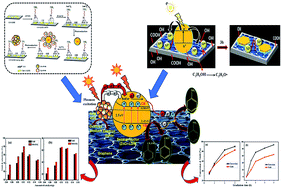 Graphical abstract: A bimetallic Au–Ag nanoalloy mounted LDH/RGO nanocomposite: a promising catalyst effective towards a coupled system for the photoredox reactions converting benzyl alcohol to benzaldehyde and nitrobenzene to aniline under visible light