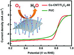 Graphical abstract: Integrating MXene nanosheets with cobalt-tipped carbon nanotubes for an efficient oxygen reduction reaction