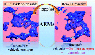 Graphical abstract: Hydroxide transport and chemical degradation in anion exchange membranes: a combined reactive and non-reactive molecular simulation study