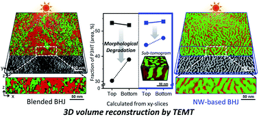 Graphical abstract: The 3D morphological stability of P3HT nanowire-based bulk heterojunction thin films against light irradiation quantitatively resolved by TEM tomography