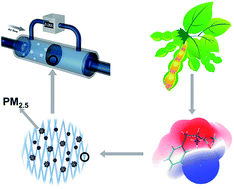 Graphical abstract: Self-assembled ionic nanofibers derived from amino acids for high-performance particulate matter removal