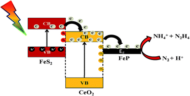 Graphical abstract: Phosphide protected FeS2 anchored oxygen defect oriented CeO2NS based ternary hybrid for electrocatalytic and photocatalytic N2 reduction to NH3