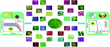 Graphical abstract: In situ generated 3D hierarchical Co3O4@MnO2 core–shell hybrid materials: self-assembled fabrication, morphological control and energy applications