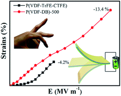 Graphical abstract: Superior electrostrictive strain achieved under low electric fields in relaxor ferroelectric polymers