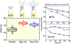 Graphical abstract: Effect of bidentate and tridentate additives on the photovoltaic performance and stability of perovskite solar cells