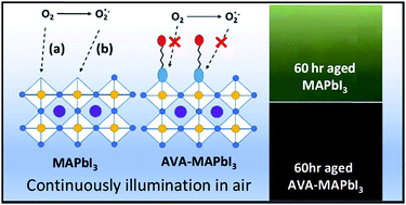 Graphical abstract: Evidence for surface defect passivation as the origin of the remarkable photostability of unencapsulated perovskite solar cells employing aminovaleric acid as a processing additive