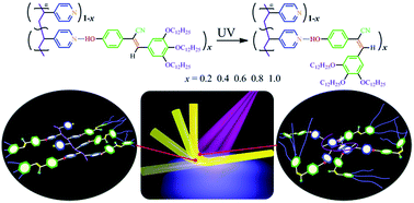 Graphical abstract: Fast photoinduced deformation of hydrogen-bonded supramolecular polymers containing α-cyanostilbene derivative